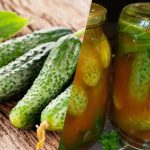 Ako zavrieť uhorky v chilli kečupe na zimu: 3 bezkonkurenčné recepty Ako zavrieť uhorky v chilli kečupe na zimu: 3 bezkonkurenčné