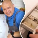 Ako vyčistiť práčku od plesní a zápachu: tipy odborníka